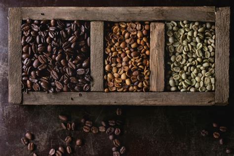 Ancient Brews: Exploring Ancient Cultures' Use of Coffee for Magic